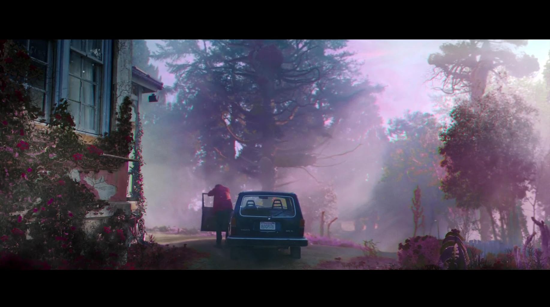 Фото - Цвет из иных миров: 1834x1024 / 119 Кб