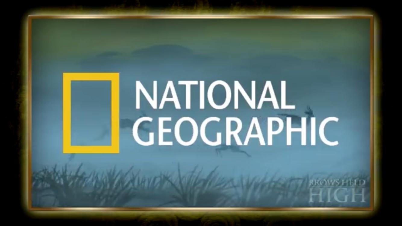 Фото - : 1334x750 / 60 Кб