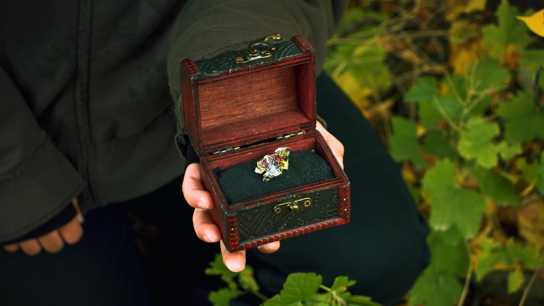 Фото - : 1820x1024 / 122 Кб