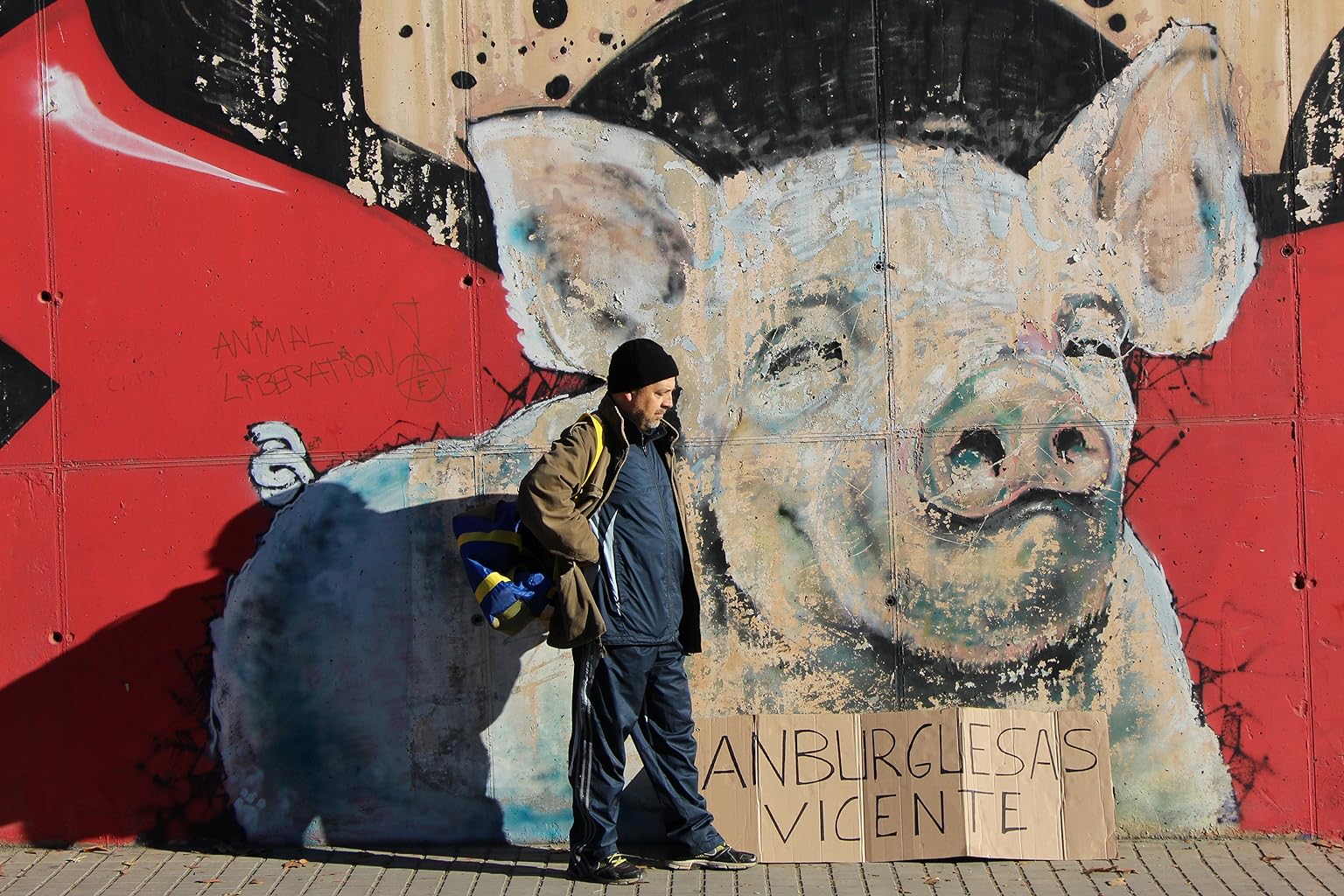 Фото - : 1536x1024 / 285 Кб