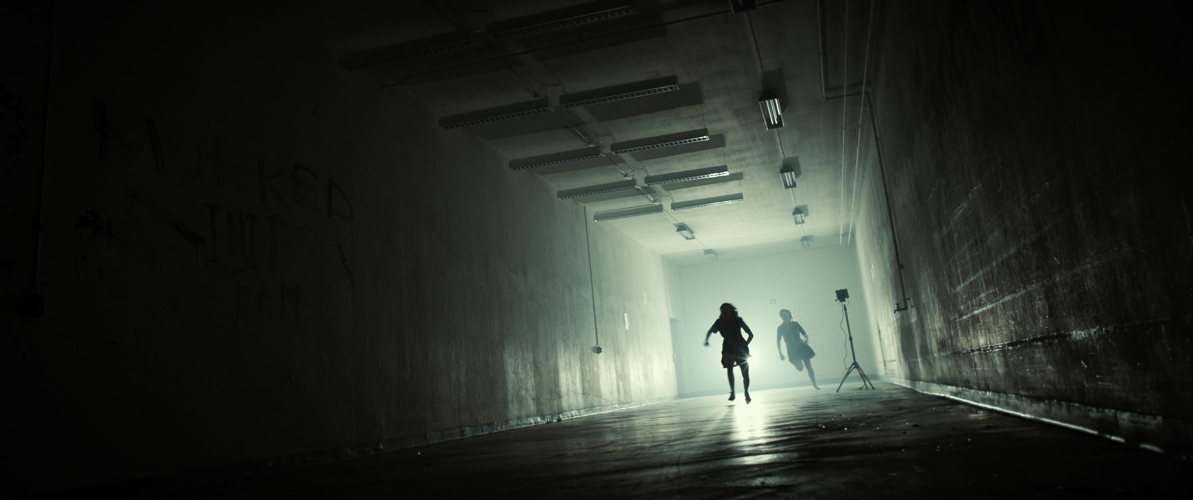 Фото - : 2444x1024 / 102 Кб