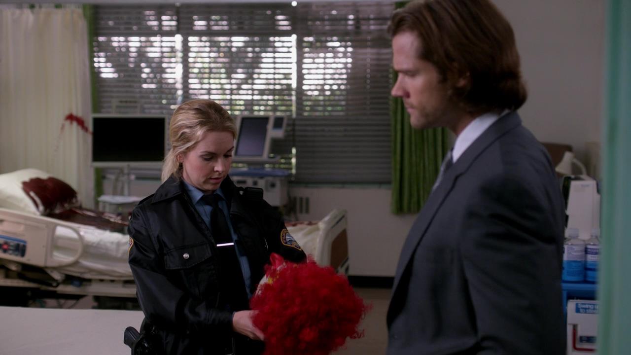 Фото - : 1280x720 / 72 Кб