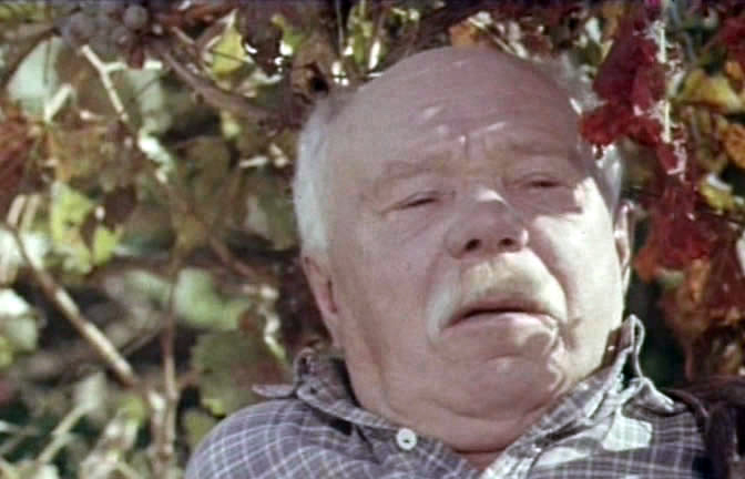 Фото - : 672x432 / 106 Кб