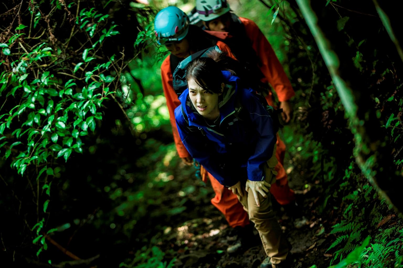 Фото - : 1536x1024 / 163 Кб