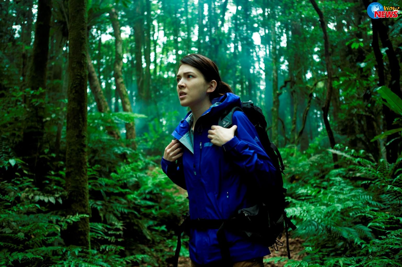 Фото - : 1537x1024 / 188 Кб