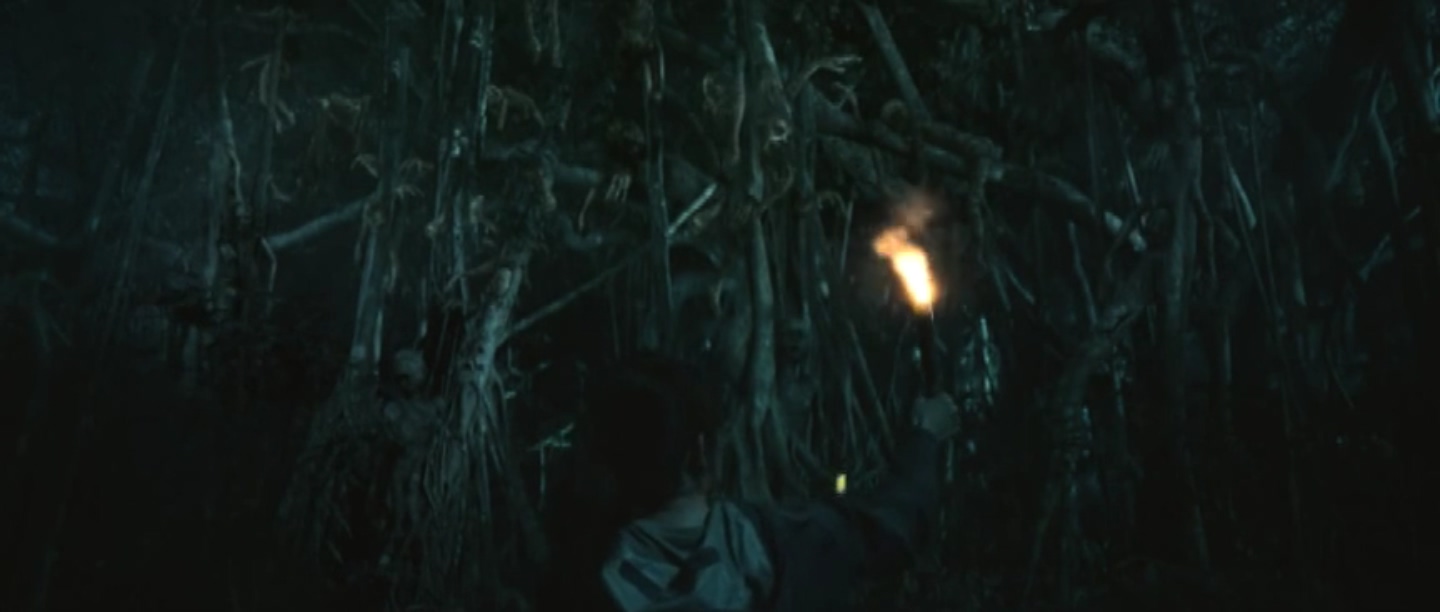 Фото - : 1440x612 / 87 Кб