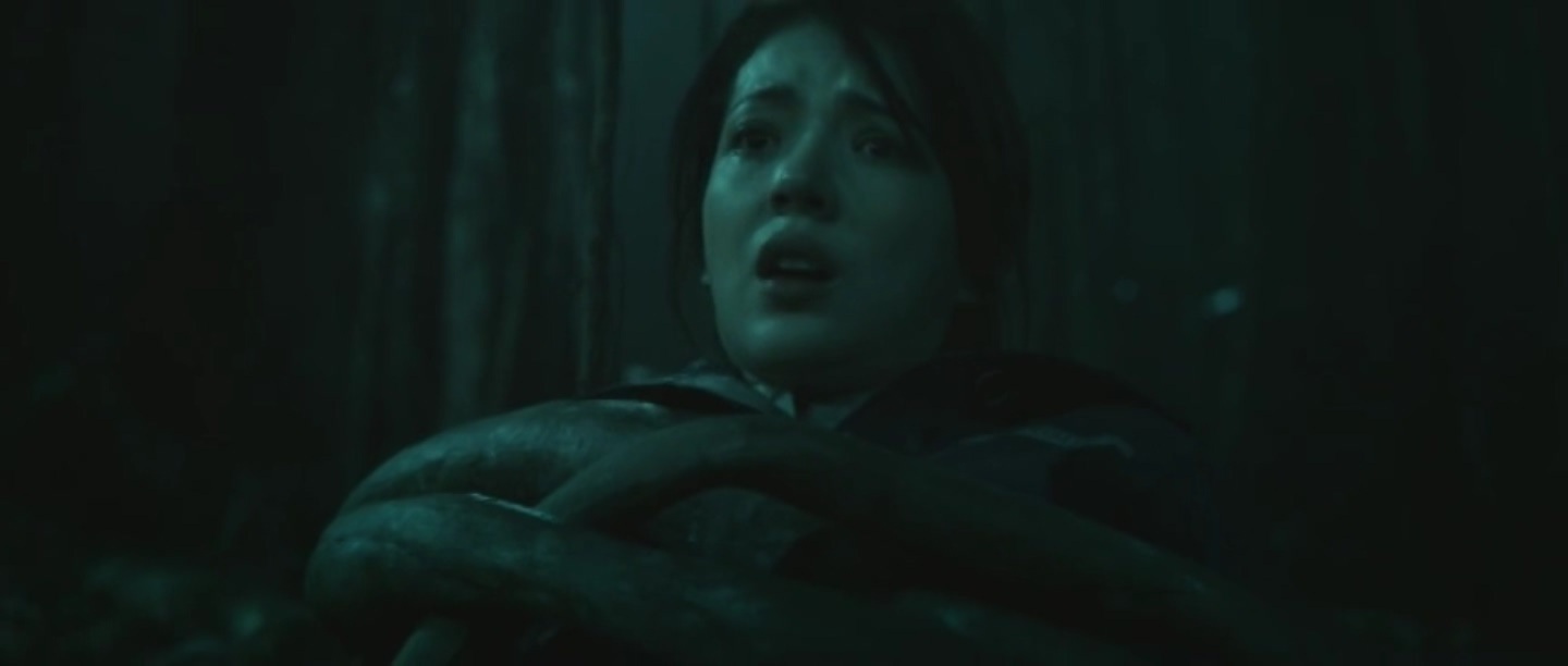 Фото - : 1440x612 / 49 Кб