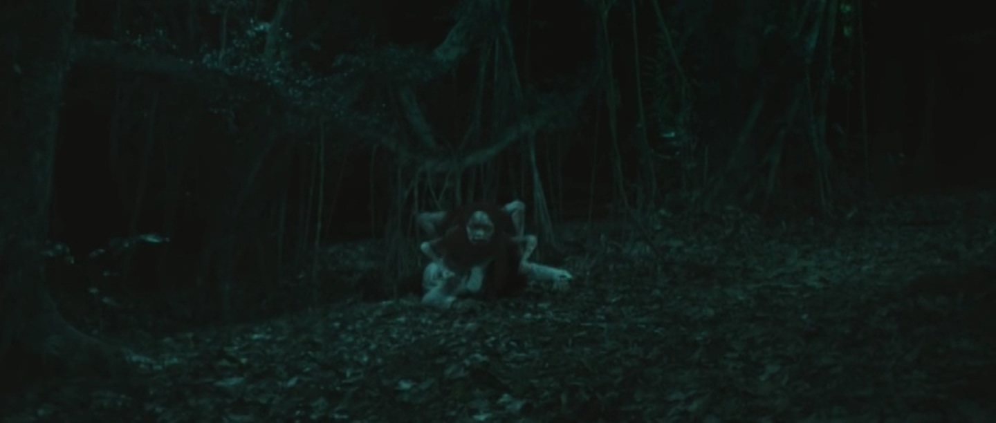 Фото - : 1440x612 / 76 Кб