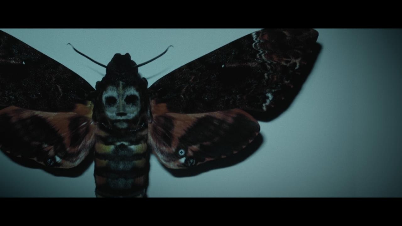 Фото - : 1280x720 / 62 Кб