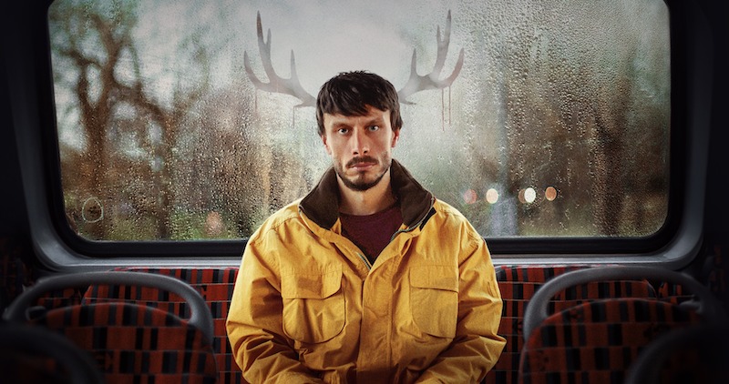 Фото - Олененок: 800x422 / 114.94 Кб