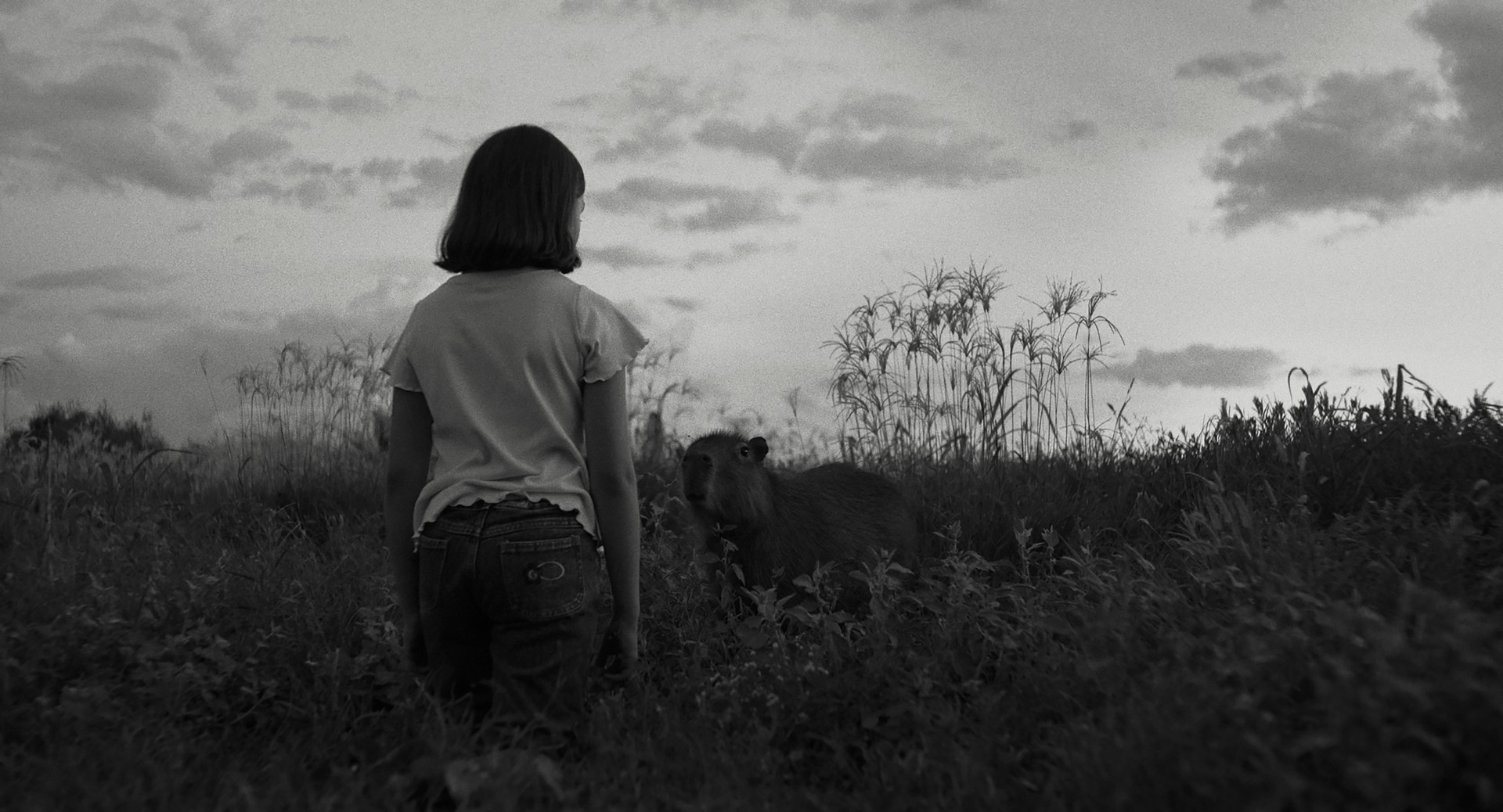 Фото - Послание: 1920x1038 / 342.84 Кб