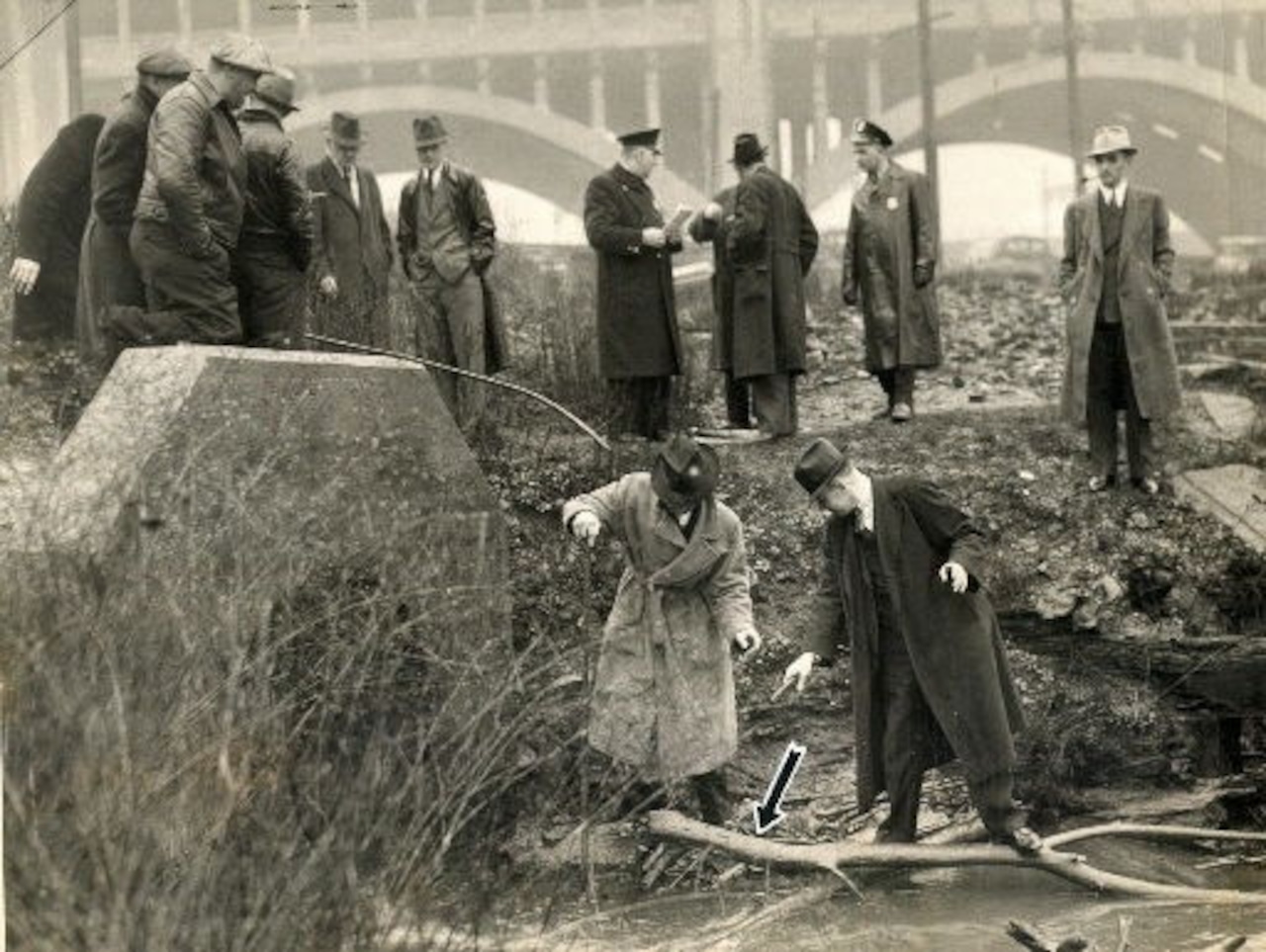 Фото - Torso: 1280x963 / 263.15 Кб
