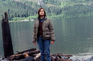 Фото - Бессонница: 318x209 / 20 Кб