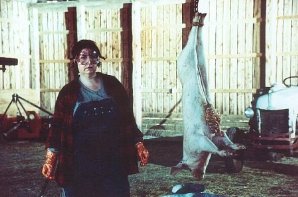 Фото - Лихорадка: 298x197 / 20 Кб