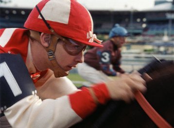 Фото - Фаворит: 358x264 / 20 Кб