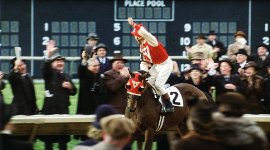 Фото - Фаворит: 270x150 / 15 Кб