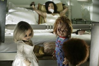 Фото - Потомство Чаки: 323x215 / 18 Кб