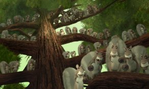 Фото - Сезон охоты: 292x176 / 15 Кб