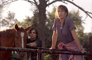 Фото - Трансамерика: 314x203 / 18 Кб