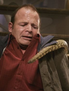 Фото - Змеиный полет: 285x379 / 17 Кб