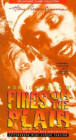 Фото - Полевые огни: 259x475 / 43 Кб