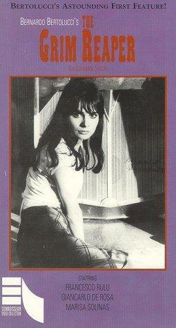 Фото - Костлявая кума: 255x475 / 30 Кб