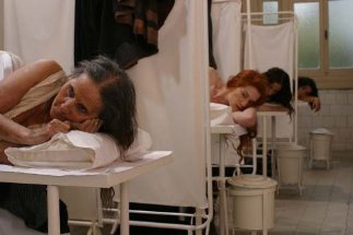 Фото - Новый свет: 323x215 / 15 Кб