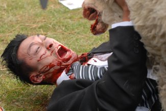 Фото - Паршивая овца: 325x218 / 18 Кб