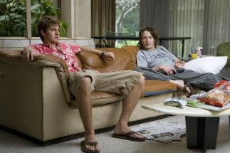 Фото - Львы для ягнят: 323x215 / 20 Кб