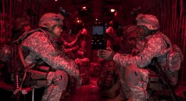 Фото - Львы для ягнят: 263x143 / 13 Кб