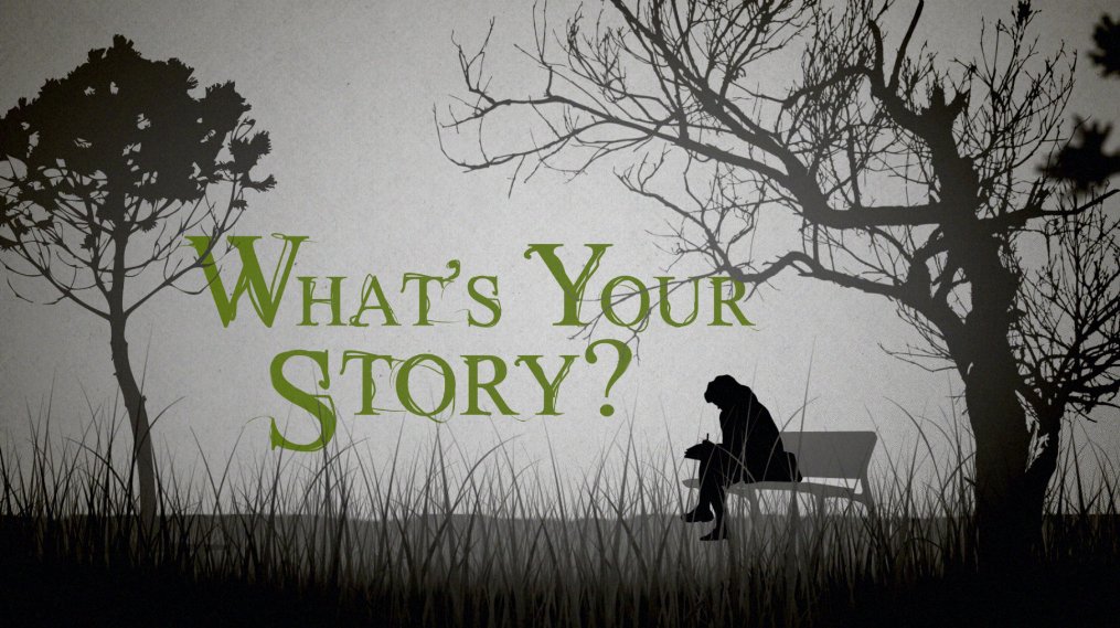 Фото - What's Your Story?: 1015x569 / 136 Кб