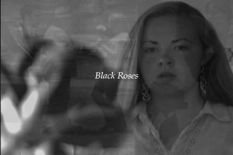 Фото - Black Roses: 480x320 / 18 Кб