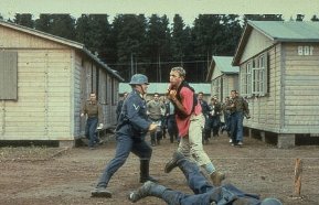 Фото - Большой побег: 289x186 / 19 Кб