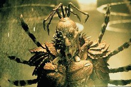 Фото - В поисках галактики: 267x178 / 20 Кб