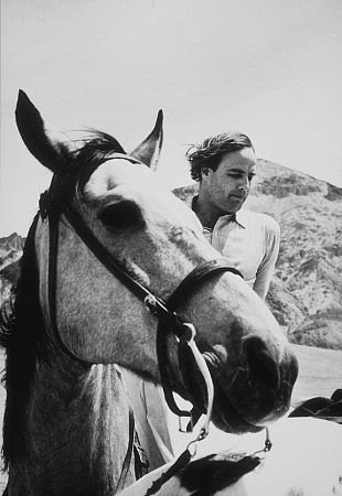 Фото - Одноглазые валеты: 310x450 / 31 Кб