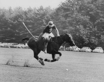 Фото - Афера Томаса Крауна: 354x278 / 25 Кб