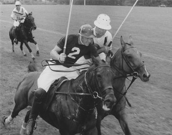 Фото - Афера Томаса Крауна: 355x280 / 24 Кб