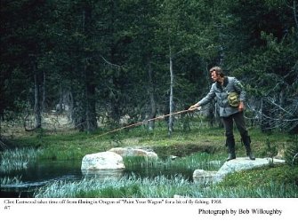 Фото - Золото Калифорнии: 335x249 / 28 Кб