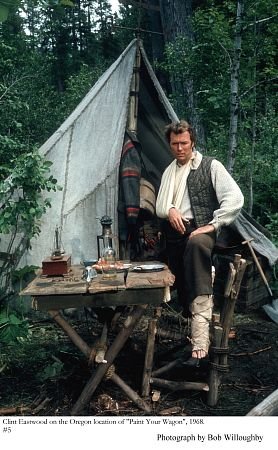 Фото - Золото Калифорнии: 278x450 / 43 Кб