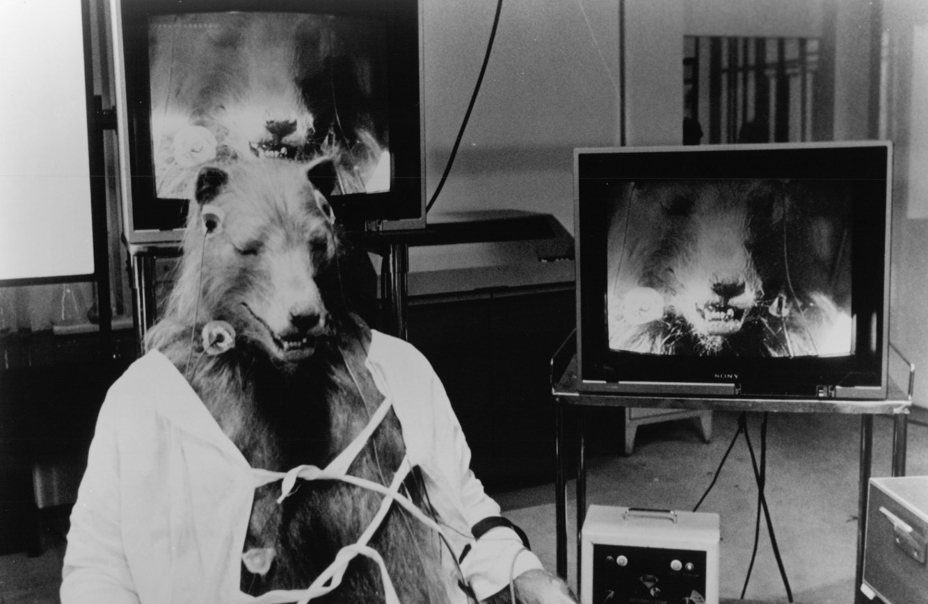 Фото - Вой 3: 1334x869 / 154 Кб