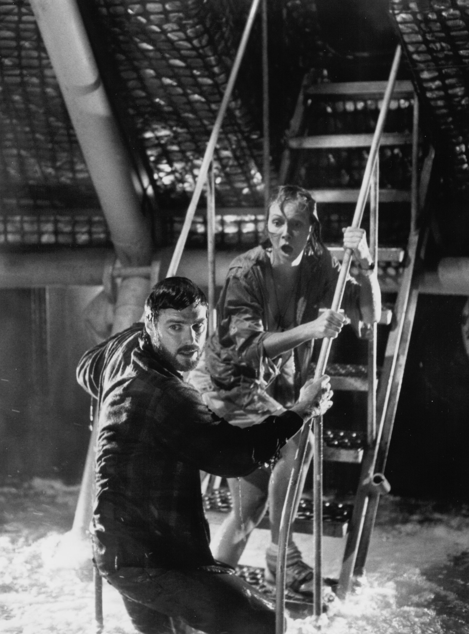 Фото - Глубоководная звезда «шесть»: 1517x2048 / 418 Кб