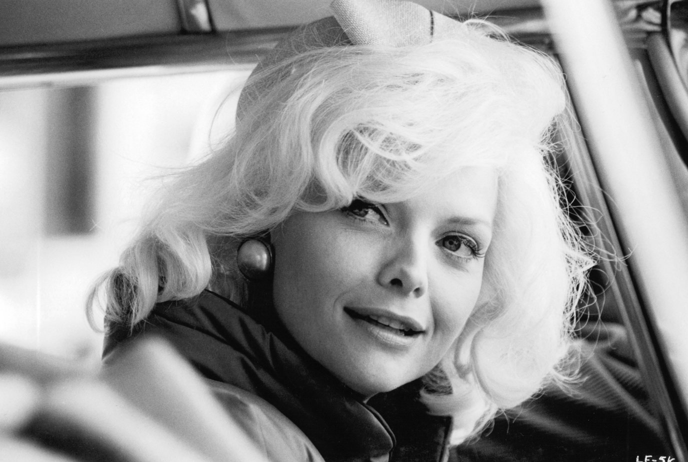 Фото - Поле любви: 1376x924 / 183 Кб