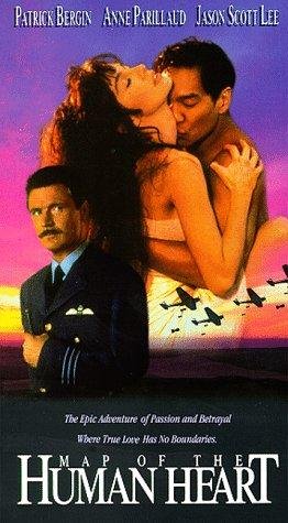 Фото - Карта человеческого сердца: 262x475 / 41 Кб