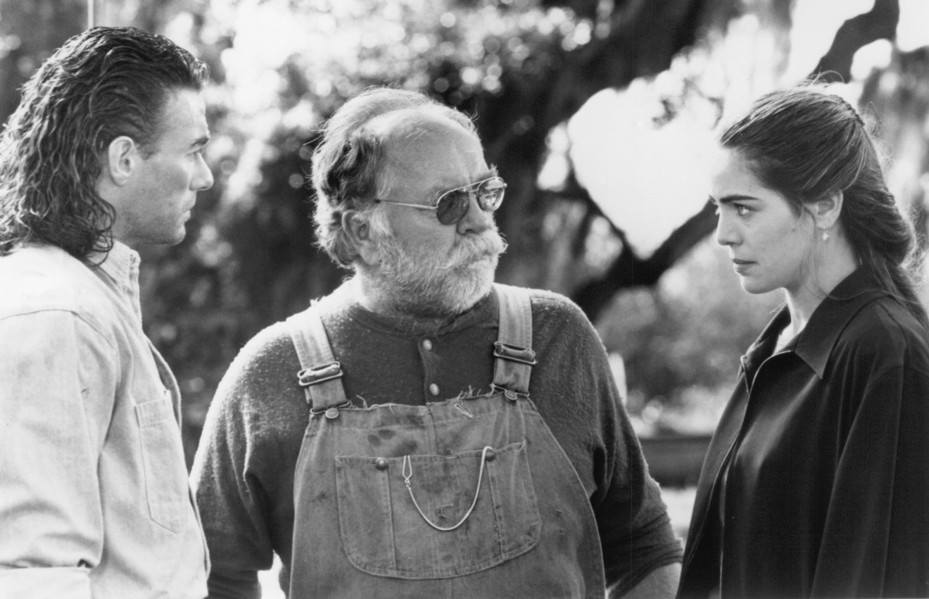 Фото - Трудная мишень: 1320x851 / 165 Кб