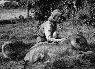 Фото - Рожденная свободной: 328x239 / 34 Кб