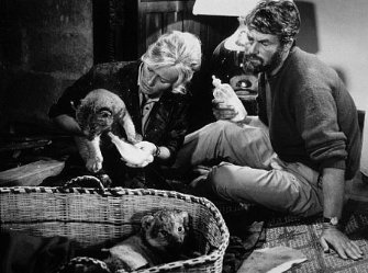 Фото - Рожденная свободной: 335x249 / 26 Кб