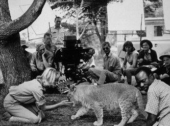 Фото - Рожденная свободной: 333x246 / 31 Кб