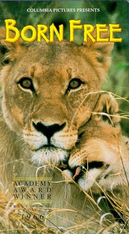 Фото - Рожденная свободной: 262x475 / 47 Кб