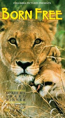 Фото - Рожденная свободной: 263x475 / 52 Кб