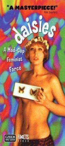 Фото - Маргаритки: 211x475 / 28 Кб